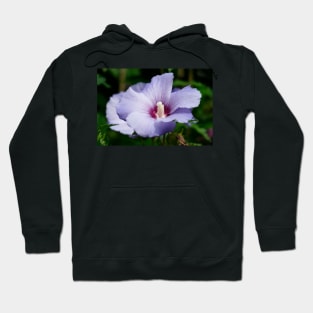 hibiscus flower Hoodie